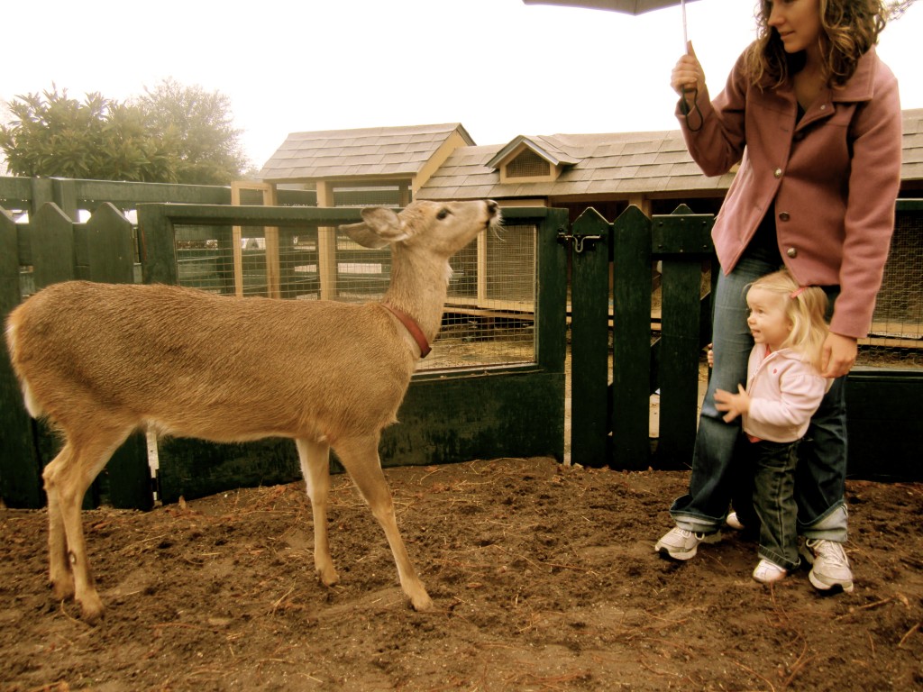 kezzie and deer